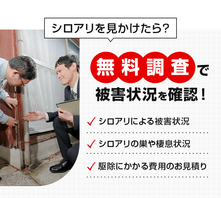 シロアリを見かけたら無料調査で被害状況を確認!