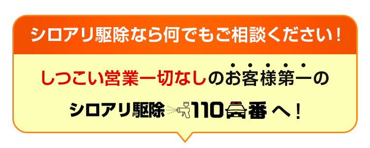 シロアリ駆除なら何でもご相談ください!