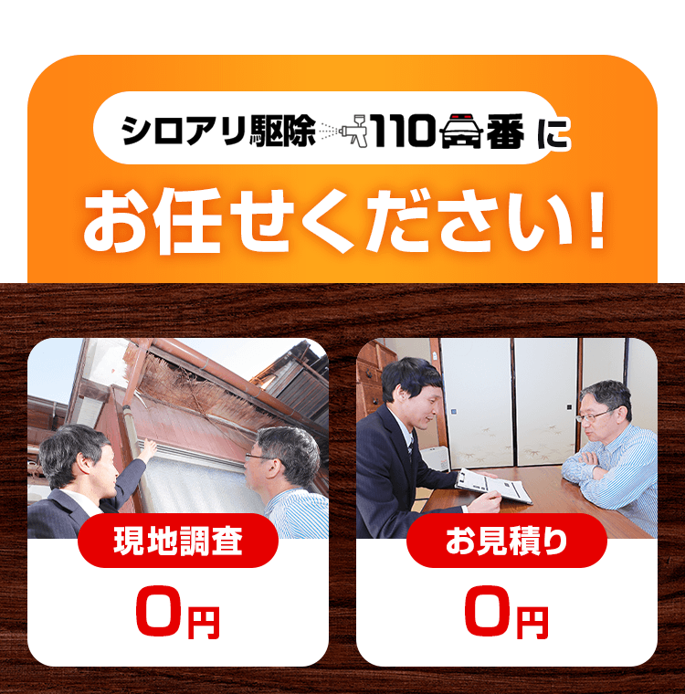 シロアリ駆除110番にお任せください!