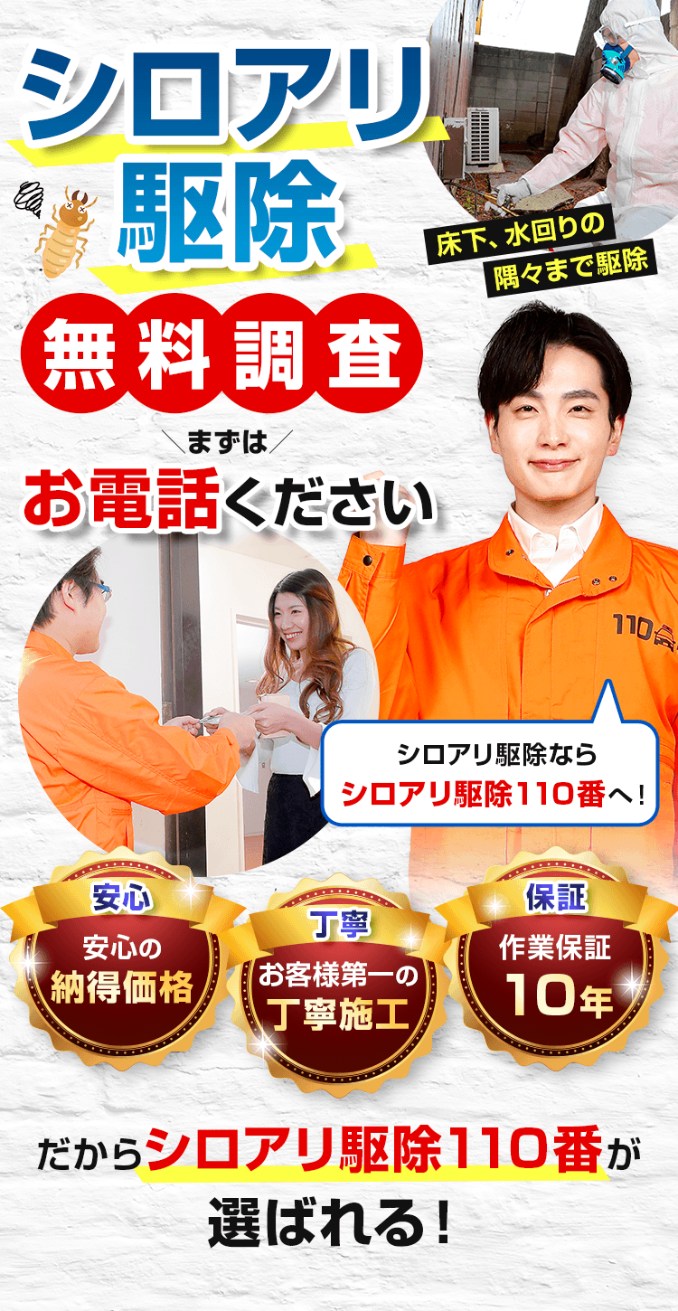 シロアリ駆除110番 シロアリ駆除無料調査 まずはお電話ください