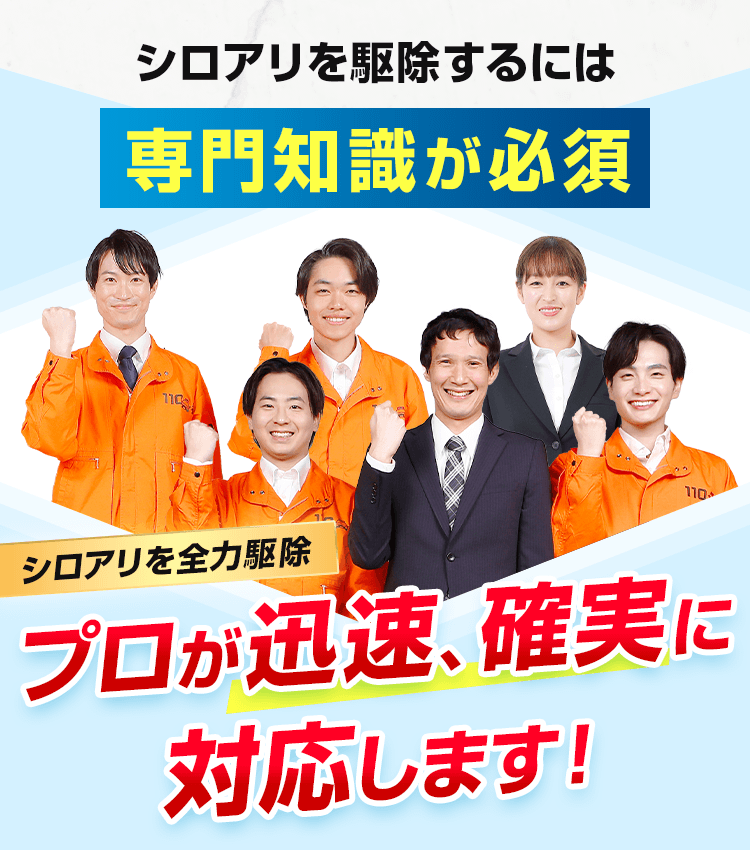 シロアリを駆除するには専門知識が必須