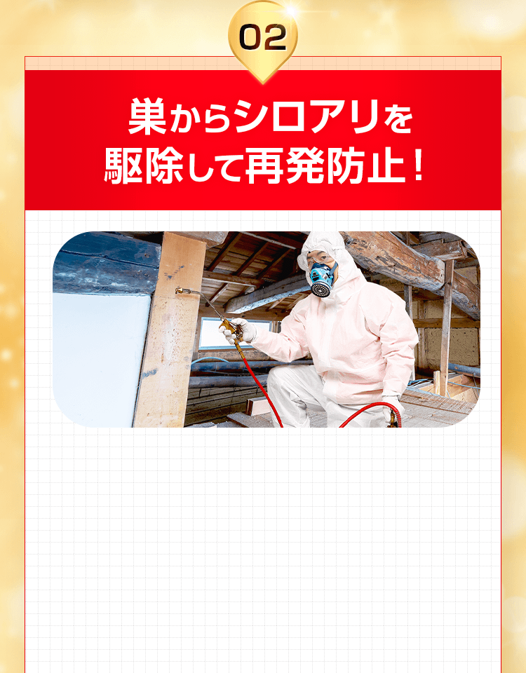巣からシロアリを駆除して再発防止!
